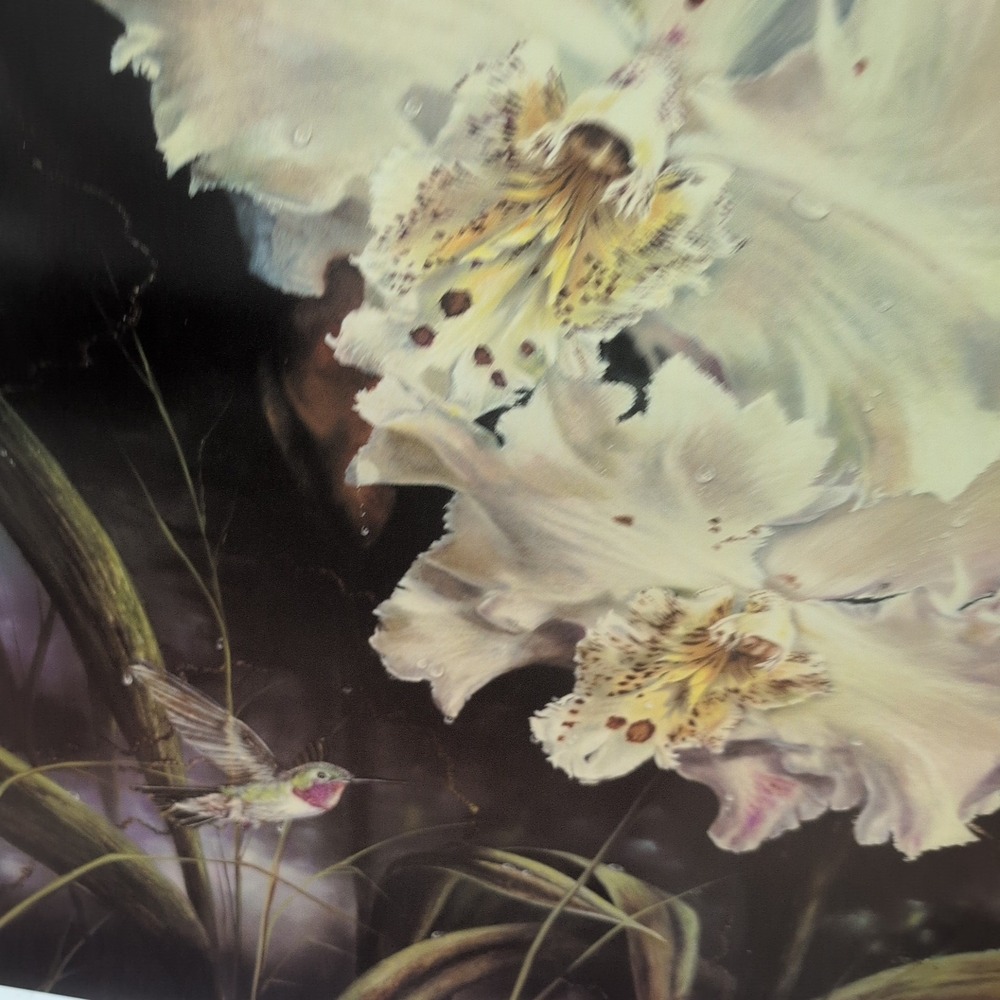 Sonia Torres Limited Ed Signed Hummingbird Odontoglossum Crispum Artist's Print‎ - Picture 3 of 8